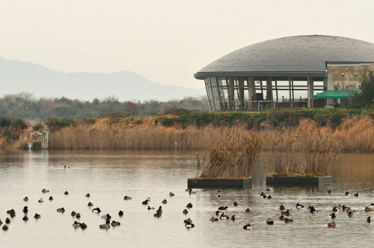 🏞️ 신코산교 키라라하마 자연관찰공원 이미지 1